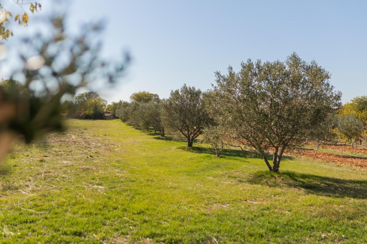 Villa Anica&Jaglica Bristane Exterior foto